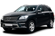 image-auto