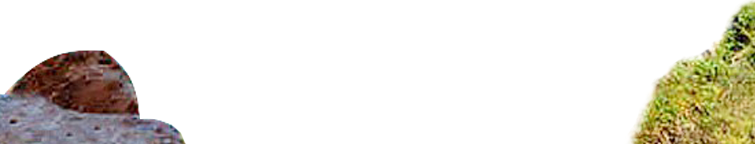 decor-icon